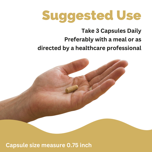 Nattokinase 10,000 FU Capsules