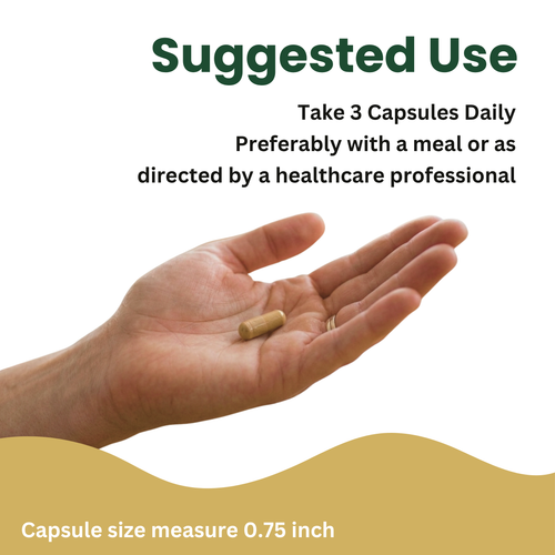 Nattokinase 10,000 FU Capsules