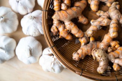 Turmeric & Aged Garlic