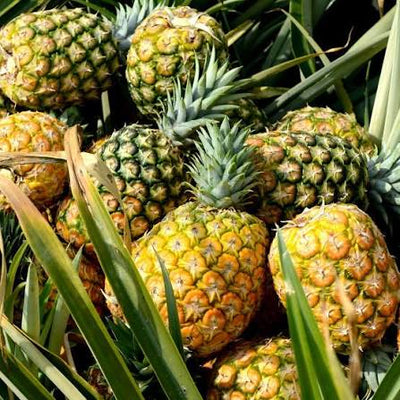 Bromelain